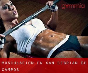 Musculación en San Cebrián de Campos