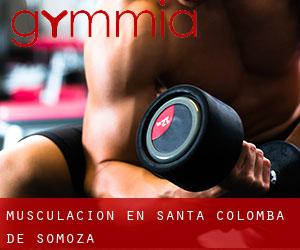 Musculación en Santa Colomba de Somoza