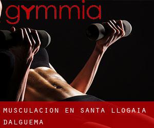 Musculación en Santa Llogaia d'Àlguema