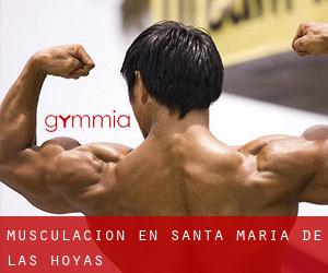 Musculación en Santa María de las Hoyas