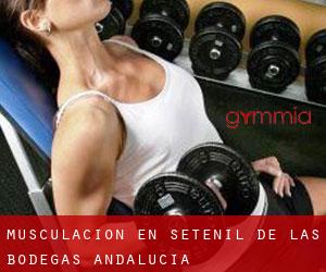Musculación en Setenil de las Bodegas (Andalucía) Musculación en Setenil de las Bodegas (Andalucía)