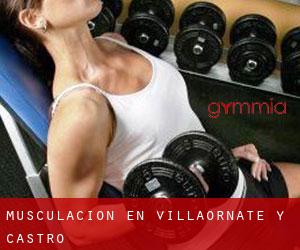 Musculación en Villaornate y Castro