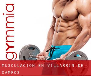 Musculación en Villarrín de Campos