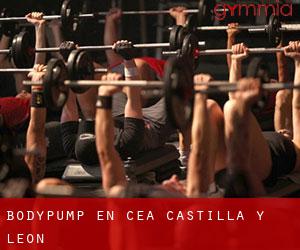 BodyPump en Cea (Castilla y León)