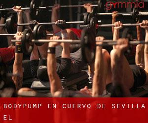 BodyPump en Cuervo de Sevilla (El) BodyPump en Cuervo de Sevilla (El)