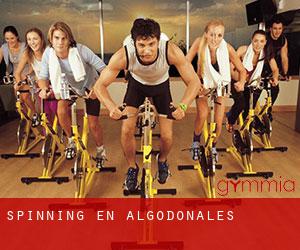 Spinning en Algodonales