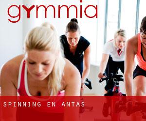 Spinning en Antas