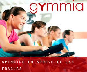 Spinning en Arroyo de las Fraguas