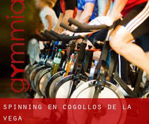 Spinning en Cogollos de la Vega