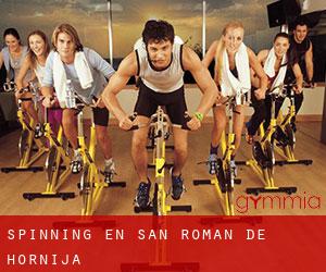 Spinning en San Román de Hornija