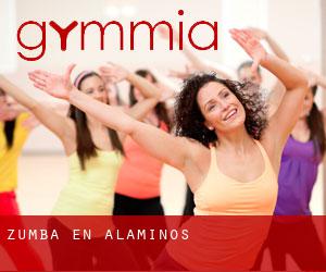 Zumba en Alaminos