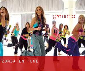 Zumba en Fene