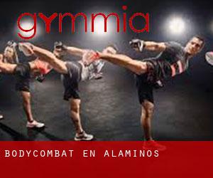 BodyCombat en Alaminos