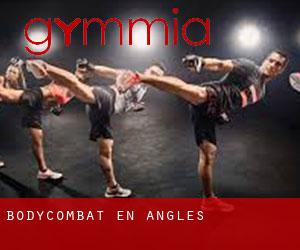 BodyCombat en Anglès