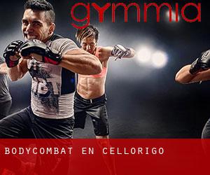 BodyCombat en Cellorigo BodyCombat en Cellorigo