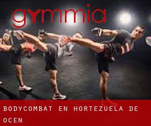 BodyCombat en Hortezuela de Océn BodyCombat en Hortezuela de Océn