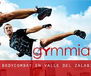 BodyCombat en Valle del Zalabí BodyCombat en Valle del Zalabí