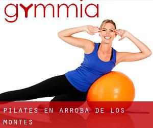 Pilates en Arroba de los Montes