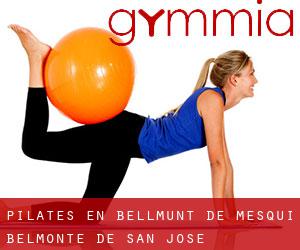 Pilates en Bellmunt de Mesquí / Belmonte de San José