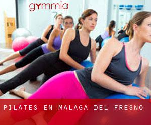 Pilates en Málaga del Fresno
