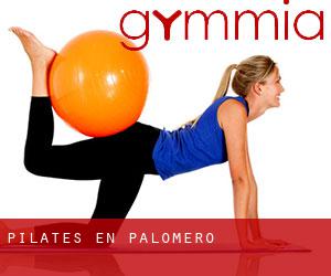 Pilates en Palomero