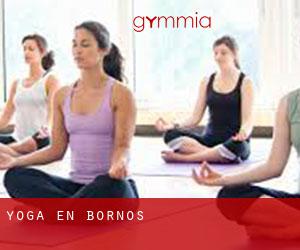 Yoga en Bornos Yoga en Bornos