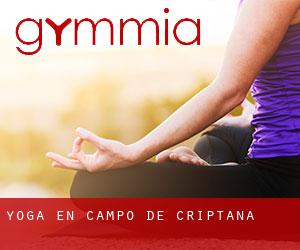 Yoga en Campo de Criptana