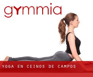 Yoga en Ceinos de Campos