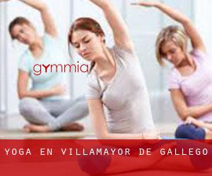 Yoga en Villamayor de Gállego