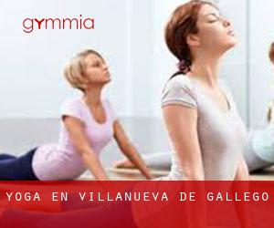 Yoga en Villanueva de Gállego