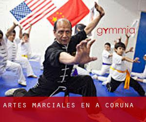 Artes marciales en A Coruña