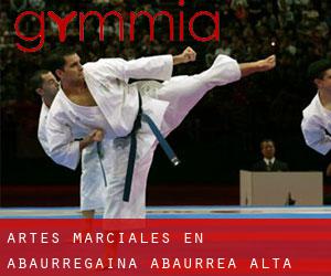 Artes marciales en Abaurregaina / Abaurrea Alta