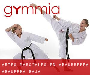 Artes marciales en Abaurrepea / Abaurrea Baja