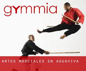 Artes marciales en Aguaviva