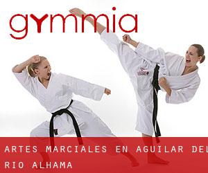 Artes marciales en Aguilar del Río Alhama