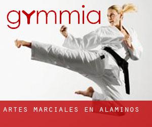 Artes marciales en Alaminos Artes marciales en Alaminos