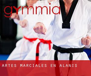 Artes marciales en Alanís