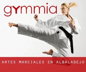Artes marciales en Albaladejo