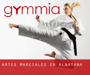 Artes marciales en Albatana