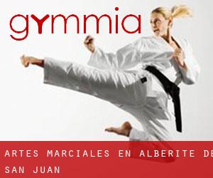 Artes marciales en Alberite de San Juan