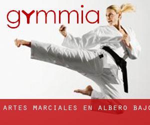 Artes marciales en Albero Bajo