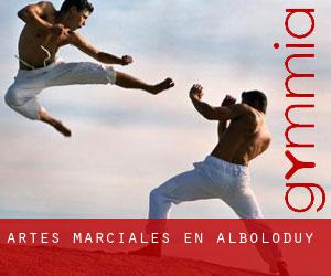 Artes marciales en Alboloduy