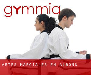 Artes marciales en Albons