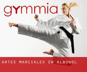 Artes marciales en Albuñol