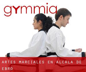 Artes marciales en Alcalá de Ebro