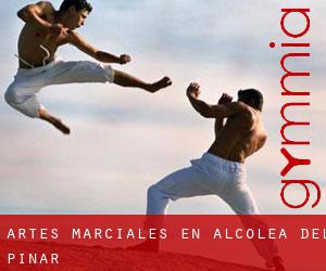 Artes marciales en Alcolea del Pinar