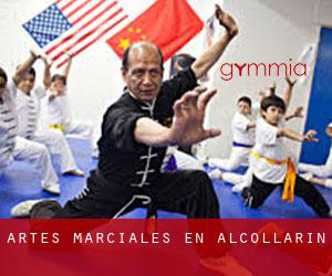 Artes marciales en Alcollarín