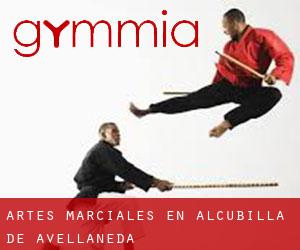 Artes marciales en Alcubilla de Avellaneda