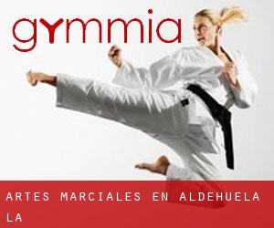 Artes marciales en Aldehuela (La)