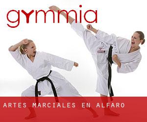 Artes marciales en Alfaro